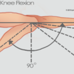 Knee flexion